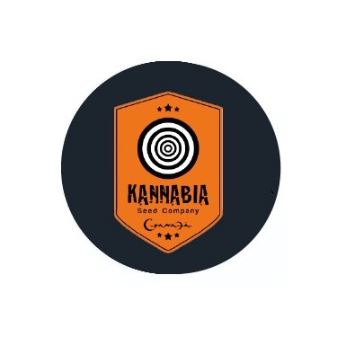 Kannabia Seeds